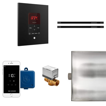 Mr.Steam MSITPLUS Operating Package BTLRLX